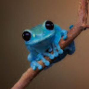 Meet your Posher, Alania